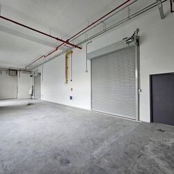 Ct Foodnex (D25), Factory #541640731